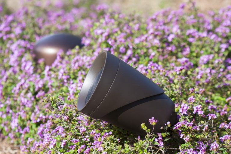 Erdspießlautsprecher Schwarze Lautsprecher zwischen lila blühenden Pflanzen im Freien.