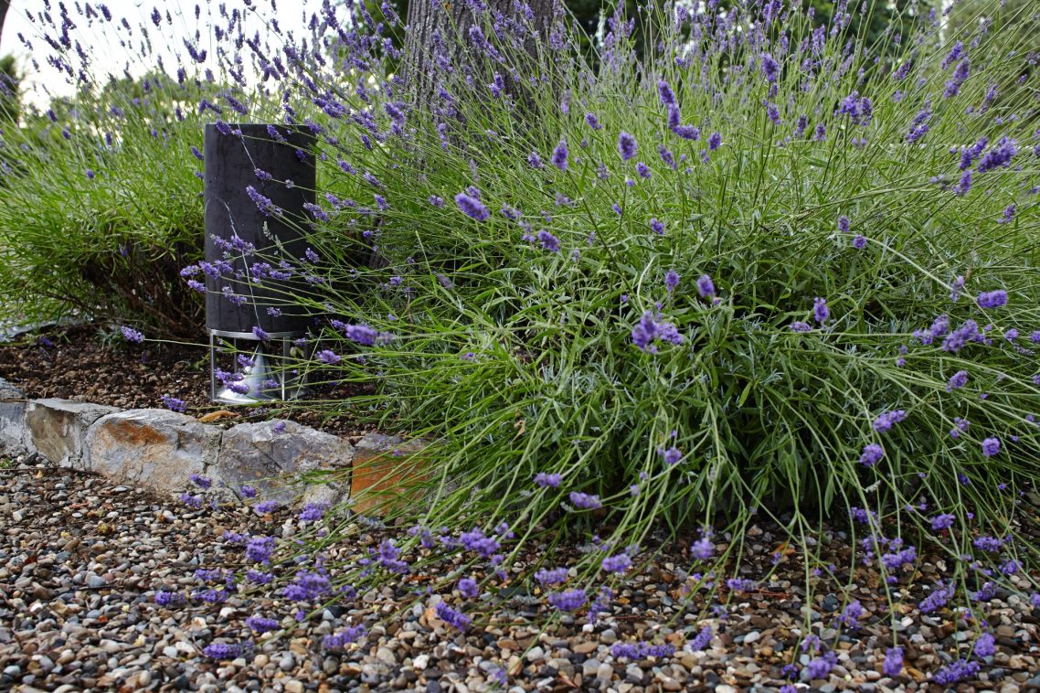 Bodenlautsprecher Garten