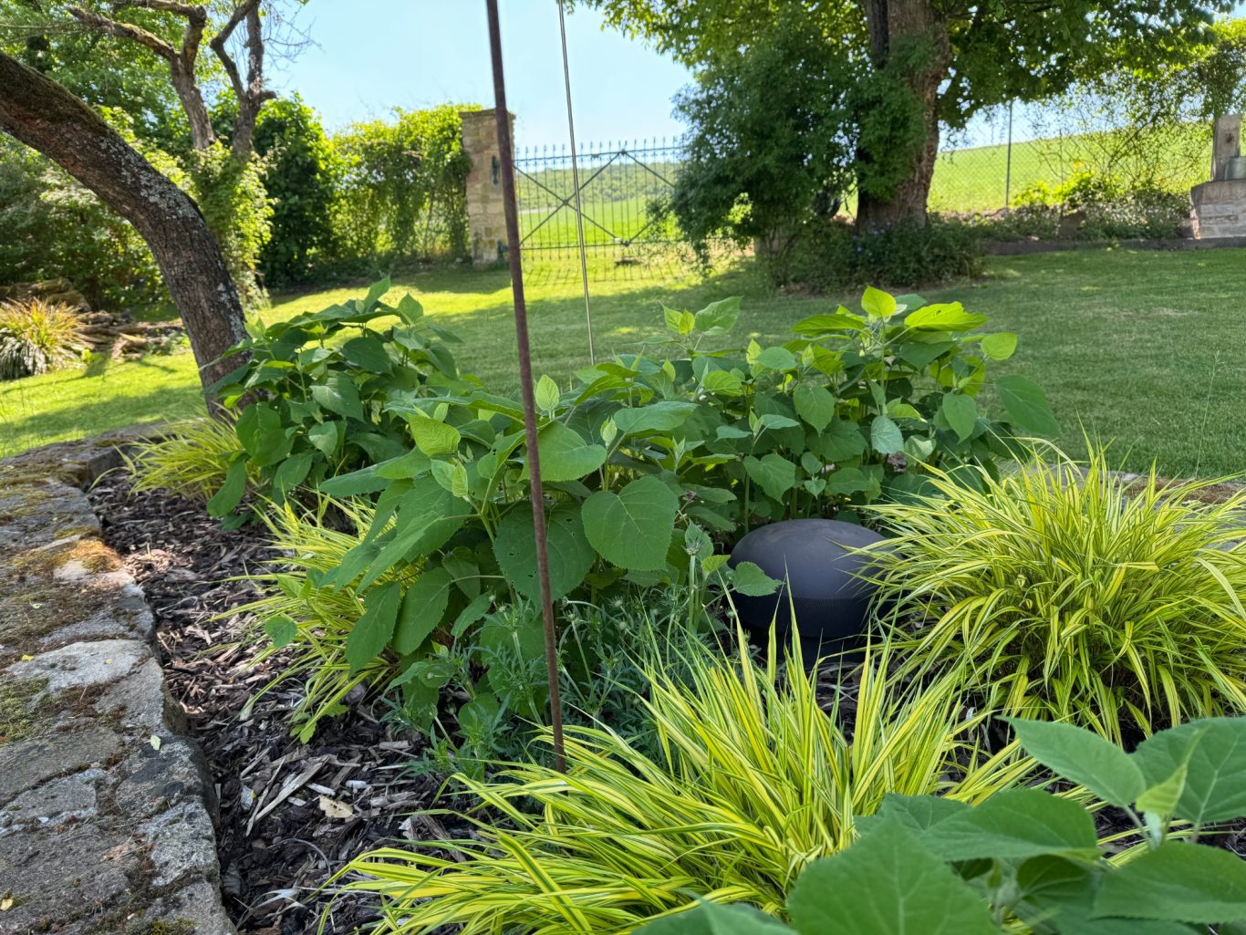 Gartenlautsprecher Bunte Gartenlandschaft mit grünen Pflanzen und einem schattigen Baum im Hintergrund.